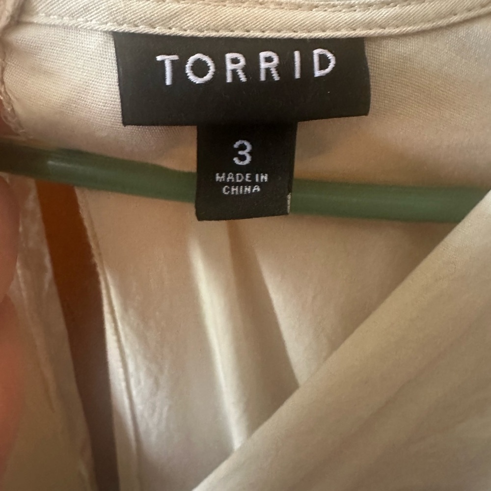 Torrid Steampunk costume - Picture 6 of 6